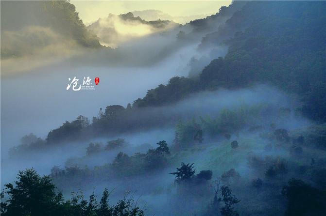 浙江共富观察:乡村如何强村又富民?